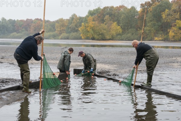 Fishing in the Ahlhorner Fischteiche pond farm, Ahlhorn, Lower Saxony, Germany