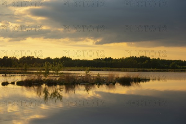 Evening at sunset in Goldenstedter Moor, Goldenstedt, Lower Saxony, Germany