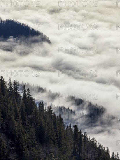 View from Vormauerstein of a sea of fog on Lake Wolfgang, inversion weather, Osterhorn Group, Salzkammergut, Province of Salzburg, Austria