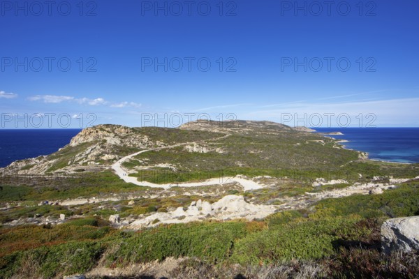 Punta de la Revellata, Calvi, Haute Corse Department, Corsica, France