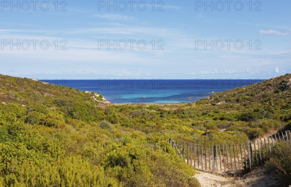 Coast at Punta de la Revellata, Calvi, Haute Corse Department, Corsica, France