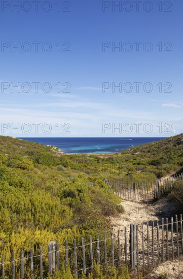 Coast at Punta de la Revellata, Calvi, Haute Corse Department, Corsica, France
