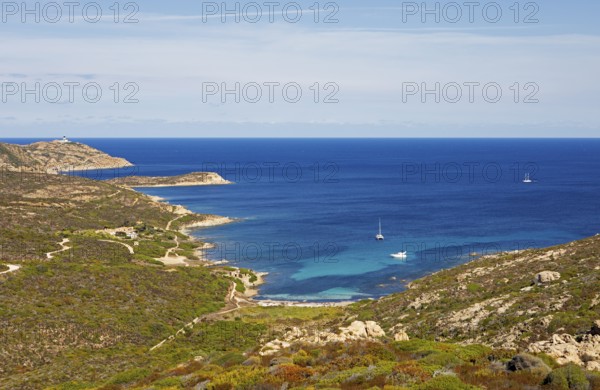 Coast at Punta de la Revellata, behind the lighthouse, Calvi, Haute Corse Department, Corsica, France