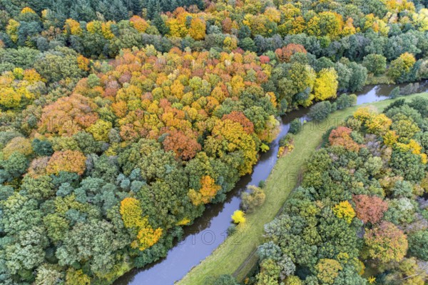 Hunte in autumn Barneführer wood, forest, autumn colors, Westerburg, Wardenburg, Lower Saxony, Germany