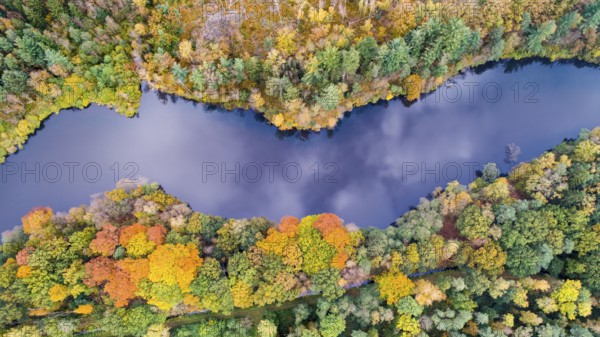 Autumn forest at the Ahlhorn fish ponds, Hoheging, Emstek, Lower Saxony, Germany