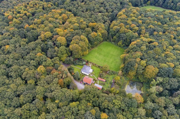 Aerial view of a beautifully coloured forest, nature reserve, forester's lodge, Herrenholz, Goldenstedt, Lower Saxony, Germany