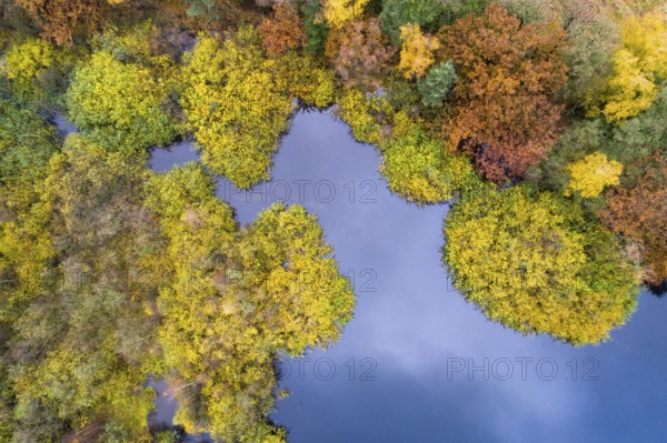Aerial view of Ahlhorn fish ponds in autumn, Riehen, Emstek, Lower Saxony, Germany