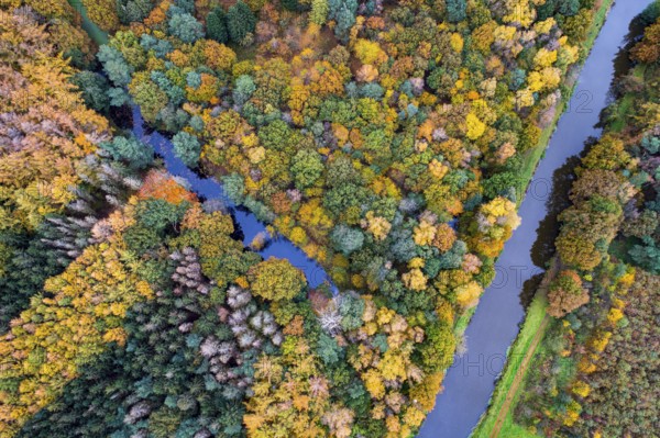 Autumn-colored trees on the Hunte, forest, autumn, Pestrup, aerial view, Wildeshausen, Lower Saxony, Germany