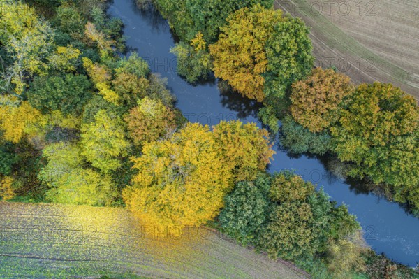 Autumn-colored trees on the Hunte, forest, aerial view, Westrittrum, Großenkneten, Lower Saxony, Germany