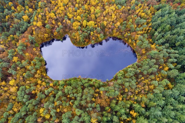 Diana See, Ahlhorner Fischteiche, Hoheging, Ahlhorn, Lower Saxony, Germany