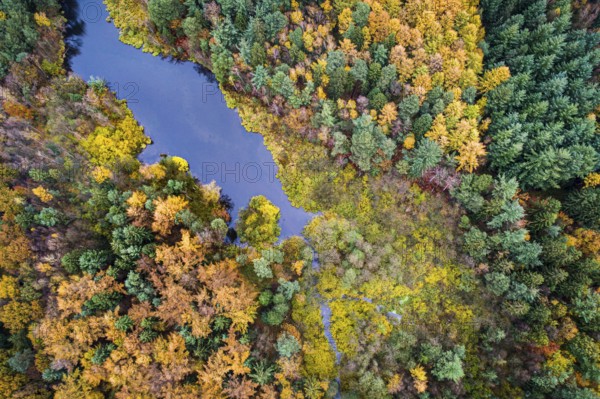 Lethe flows into the Lethetalsperre, Ahlhorner Fischteiche, Hoheging, Ahlhorn, Lower Saxony, Germany