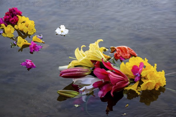 Flowers placed in water as an offering to Iemanja, one of the entities of Umbanda