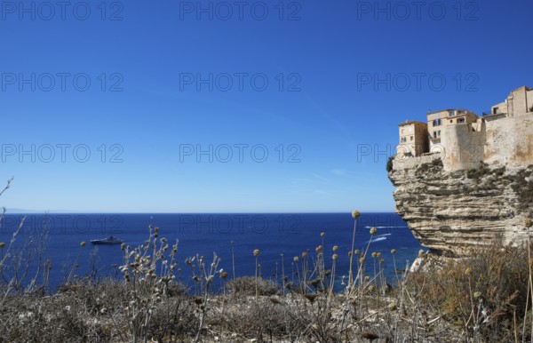 Ville haute or upper town on the Île de Fazio headland, medieval old town, Bonifacio, Corse-du-Sud department, Corsica, France