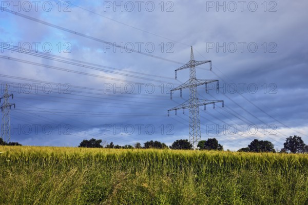 High-voltage pole, high-voltage line, cornfield, grass, blue sky, cumulus clouds, cumulonimbus clouds, rainy weather, Ralingen, Trier-Saarburg district, Rhineland-Palatinate, Germany