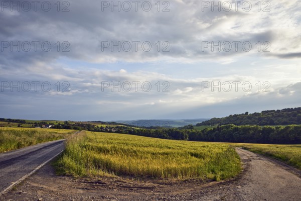 Landscape, hills, hilly landscape, confluence, dirt road, fields, cornfield, trees, meadow, haze, rain front, blue sky, cumulus clouds, nimbostratus clouds, Ralingen, Trier-Saarburg district, Rhineland-Palatinate, Germany