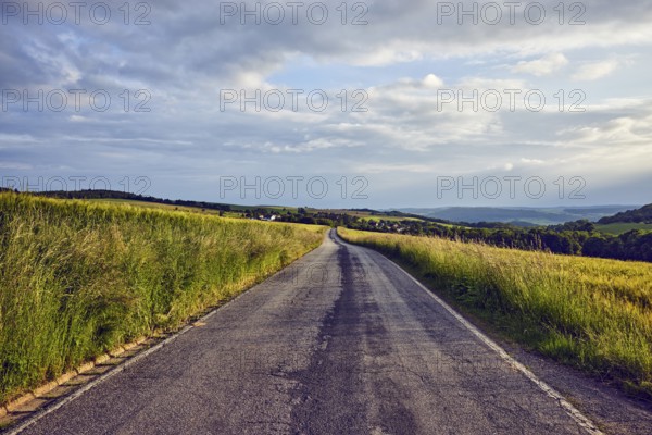Landscape, hills, road, fields, trees, bushes, meadow, village, haze, cloudy, sunny, stratocumulus clouds, Ralingen, Trier-Saarburg district, Rhineland-Palatinate, Germany