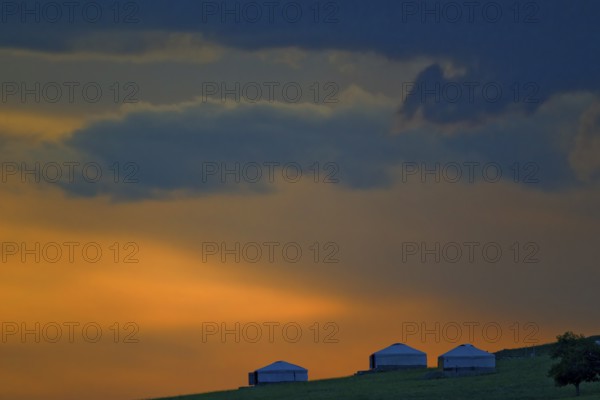 Mongolian yurts next to a single tree against an orange evening sky at sunset in the steppe, Bulgan, Mongolia