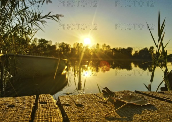 Canoe at sunset lying on the reed edge of a lake in front of a wooden jetty covered with single leaf leaves, Baden-Württemberg, Germany