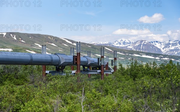 Alaska Pipeline Oil Pipeline, Alaska Range, Richardson Highway, Alaska, USA