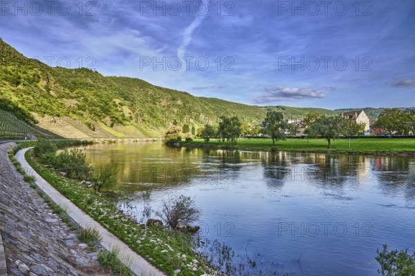 Landscape, landscape photography, Moselle river, riverbank, hill, hilly landscape, forest, trees, meadow, abstract reflections on the water surface, general buildings, blue sky, cumulus clouds, dramatic image processing, country road L98, Valwig, Cochem-Zell district, Rhineland-Palatinate, Germany