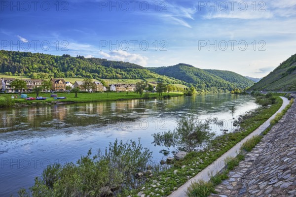 Landscape, landscape photography, Moselle river, buildings, general architecture, riverbank, hill, hilly landscape, forest, trees, meadow, abstract reflections on the water surface, blue sky, cumulus clouds, dramatic image processing, country road L98, Valwig, Cochem-Zell district, Rhineland-Palatinate, Germany