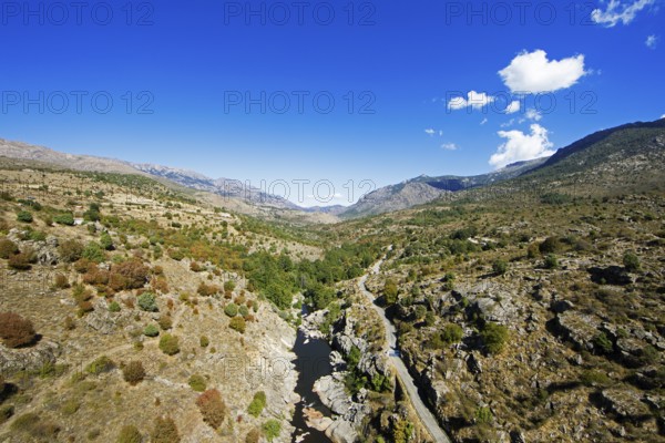 Golo River in Corsica Regional Natural Park, Calacuccia, Corte Arrondissement, Haute-Corse Department, Corsica, Mediterranean Sea, France