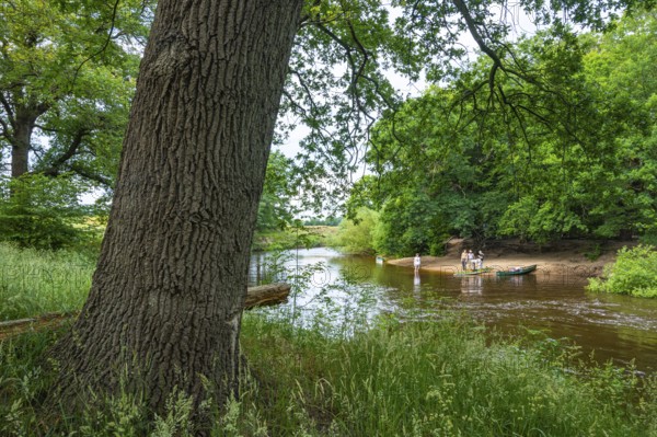 Canoeists do water sports on the Hunte near Astrup, Barneführer Holz, Wardenburg, Lower Saxony, Germany