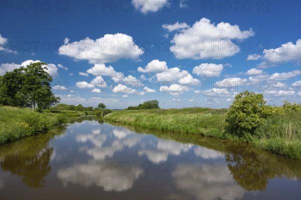 Trenches in the Bornhorster Huntewiesen nature reserve on the Hunte in the Wesermarsch, Oldenburg, Lower Saxony, Germany