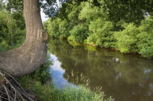 The course of the Hunte river near Oltmannsberg, Oltmannsberg, Dötlingen, Lower Saxony, Germany