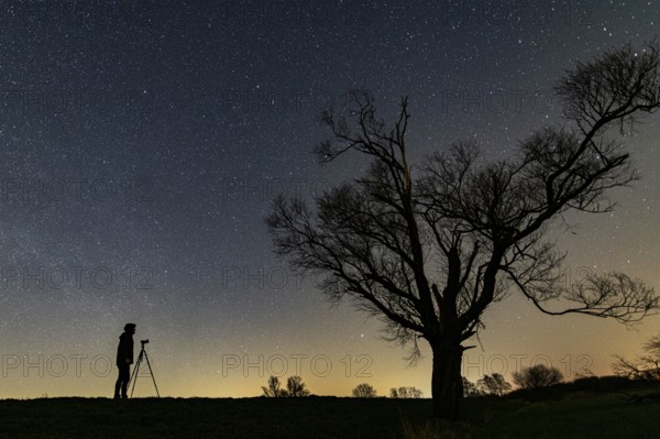 Photographer in front of a tree on the Hunte dyke in Ochsenmoor am Dümmer at night with stars, Dümmer See, Hüde, Lower Saxony, Germany