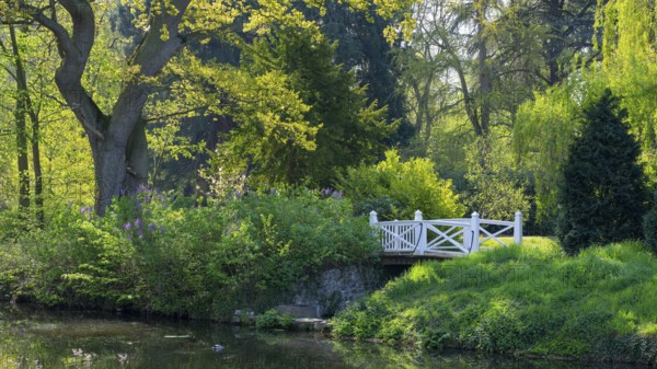 Bridge in the park at Hünnefeld Castle, Bad Essen, Lower Saxony, Germany