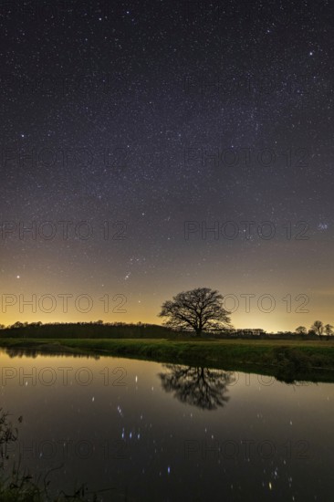 Oak (Quercus) on the river Hunte at night with stars, in the sky, darkness, Colnrade, Lower Saxony, Germany