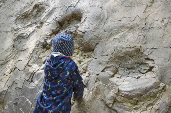 Child in front of dinosaur tracks near Barkhausen, Barkausen, Bad Essen, Lower Saxony, Germany
