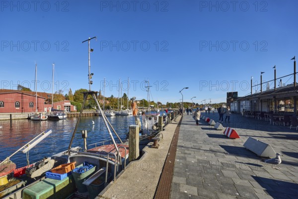 Harbour, harbour basin, wharf, ships, fishing trawlers, sailboats, duckdalves, general architecture, houses, lantern, trees, pedestrians as accessories, blue sky, cirrus clouds, Stegstraße, Eckernförde, Rendsburg-Eckernförde district, Schleswig-Holstein, Germany