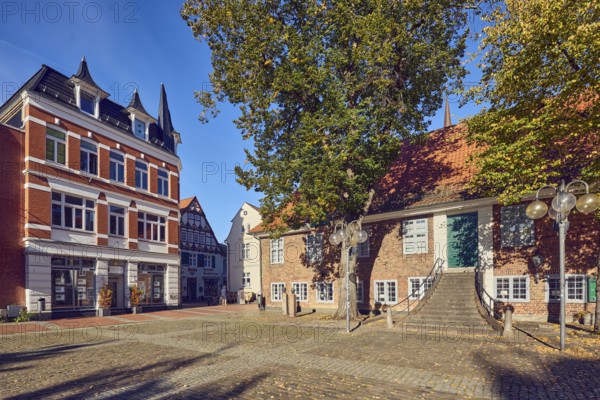 Historic town hall, city museum, historic brick building, houses, façade with windows, stairway, dormers, lantern, cobblestone square, city trees, fallen leaves, blue sky, cirrus clouds, market square, town hall market, Eckernförde district, Rendsburg-Eckernförde, Schleswig-Holstein, Germany