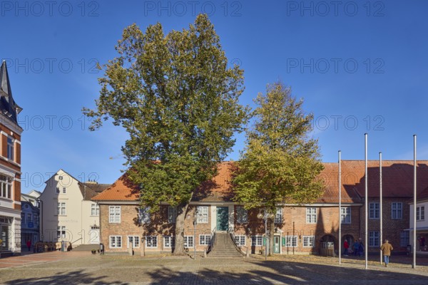 City museum, historic town hall, brick building, facade with windows, museum, staircase, square of paving stones, flagpoles, trees with autumn leaves, summer lime tree (Tilia platyphyllos), winter lime tree (Tilia cordata), autumn leaves, blue sky, cloudless, market square, town hall market, Eckernförde, district Rendsburg-Eckernförde, Schleswig-Holstein, Germany