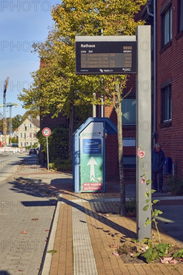 City Hall bus stop, general architecture, Tempo 30 sign, street, sidewalk, trees with autumn leaves, blue sky, cloudless, Reeperbahn, Eckernförde, Rendsburg-Eckernförde district, Schleswig-Holstein, Germany