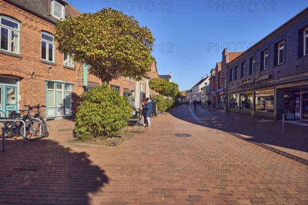 Residential and commercial buildings, general architecture, brick buildings, shops, shopping, retail, leather goods store Lienau, paving brick footpath, urban trees, pedestrians as accessories, blue sky, cloudless, Ochsenkopf junction with Frau-Clara-Straße, Eckernförde, Rendsburg-Eckernförde district, Schleswig-Holstein, Germany