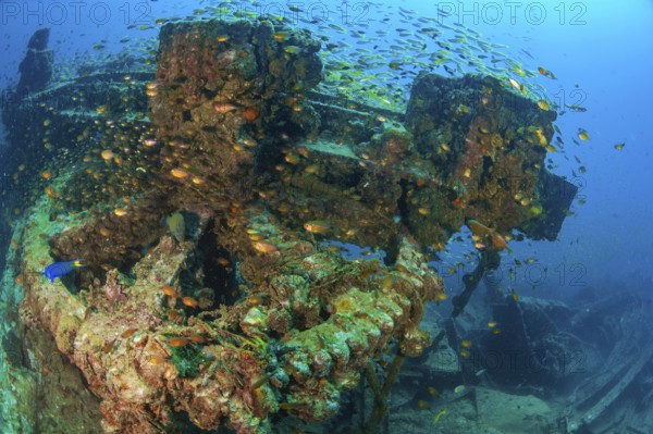 Underwater photo Large cog and parts from former sunken tin excavator Boonsung wreck off the coast of the seaside resort of Khao Lak, Andaman Sea, Indian Ocean, Thailand
