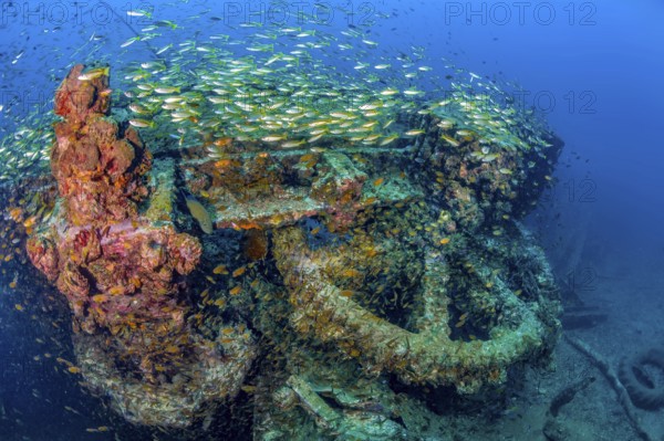 Underwater photo Large cog and parts of former sunken tin excavator Boonsung wreck off the coast of the seaside resort of Khao Lak, Andaman Sea, Indian Ocean, Thailand