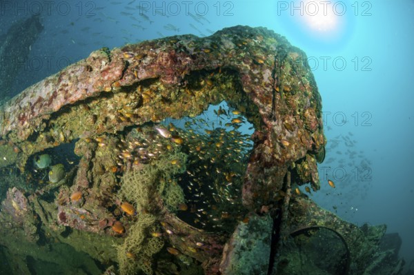Underwater photo parts of former sunken tin excavator Boonsung wreck off the coast of seaside resort Khao Lak, Andaman Sea, Indian Ocean, Thailand
