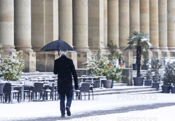 Winter in Stuttgart. There is a closed blanket of snow in the city center. Palm trees and other plants are covered with snow in front of the Königsbau on Schlossplatz. Stuttgart, Baden-Württemberg, Germany