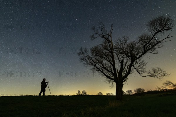 Nature photographer photographs a tree in front of a starry sky at night, Dümmer, Hüde, Lower Saxony, Germany