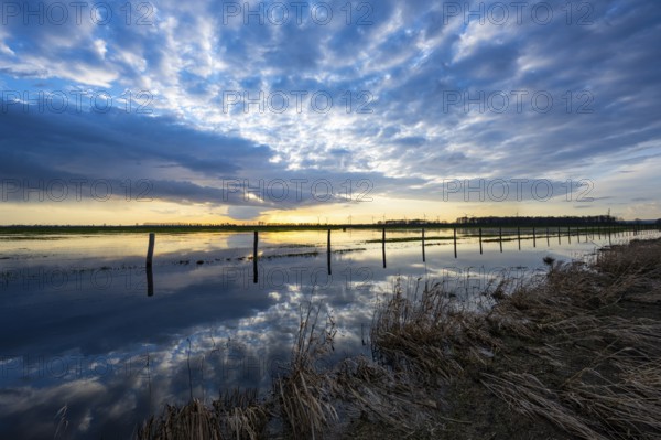 Evening sky is reflected in high water in Ochsenmoor am Dümmer, Ochsenmoor, Hüde, Lower Saxony, Germany