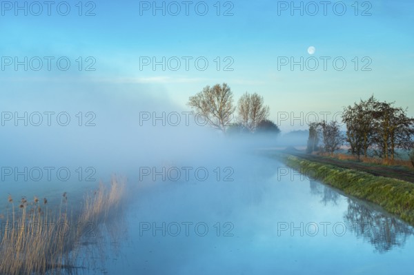 River Lohne at daybreak with fog, Dümmer, Lembruch, Lower Saxony, Germany