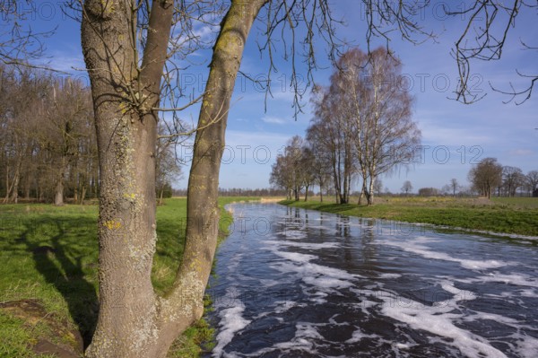 Hunte bei Hengemühle, Heede, Diepholz, Lower Saxony, Germany