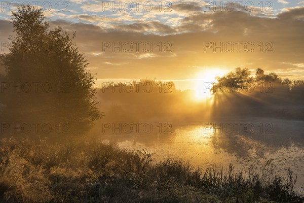 Pond at sunrise, Ahlhorn fish ponds, Ahlhorn, Lower Saxony, Germany