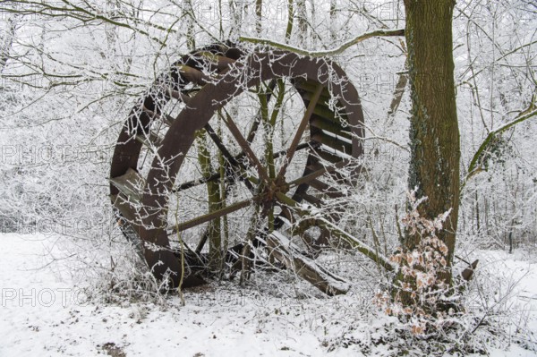 Hengemühle waterwheel, Diepholz, Lower Saxony, Germany
