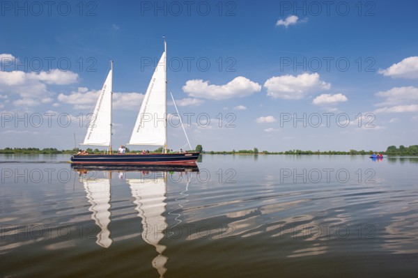 Sailing boat on Dümmer See, Oldenburger Münsterland, Dümmerlohhausen, Lower Saxony, Germany