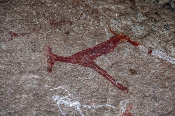 White Lady Rock Painting, White Lady Painting, Depiction of Hunters and Animals, Rock Paintings in Maack's Shelter, Tsisab Gorge, Brandberg, Erongo, Namibia